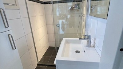 Park Zwaan 1208 Foto badkamer.jpg