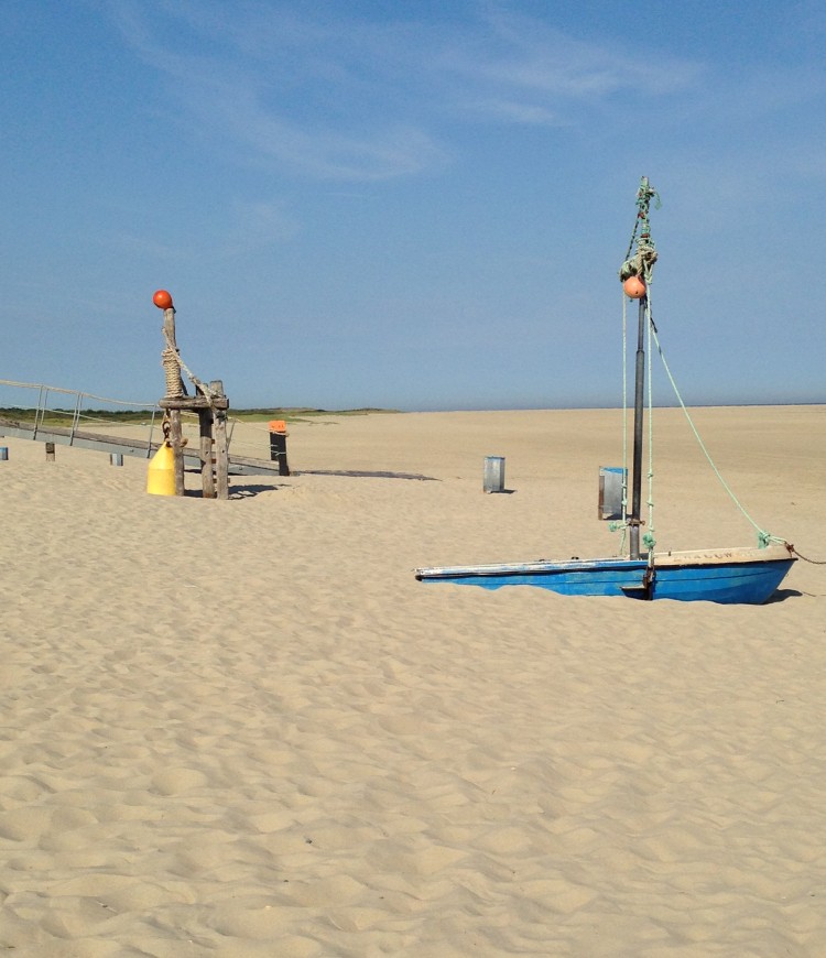 Julianahoeve strand zwaluw.JPG