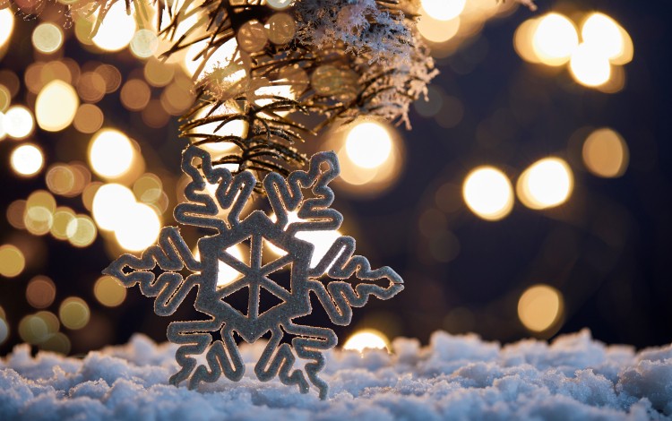 Kerst in zeeland Kerst in Renesse bij Camping Julianahoeve