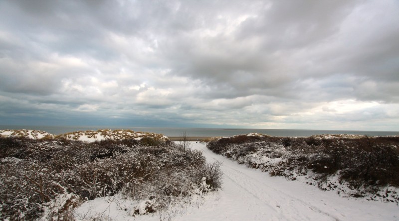 Winter omgeving 1.JPG