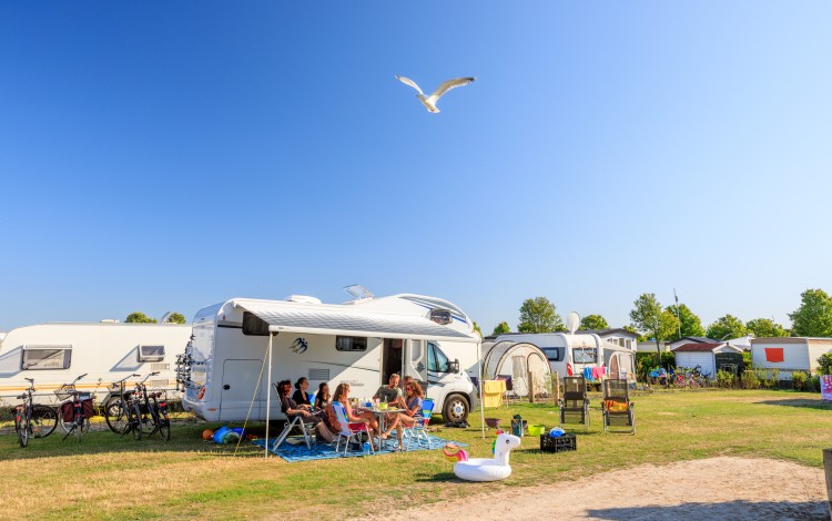 waterhoen nieuw (4).jpg