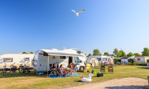 waterhoen nieuw (4).jpg