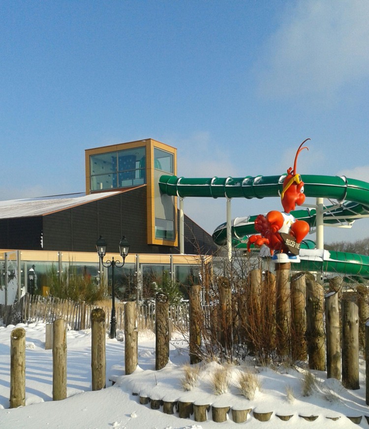 Sneeuw op de Julianahoeve.jpg