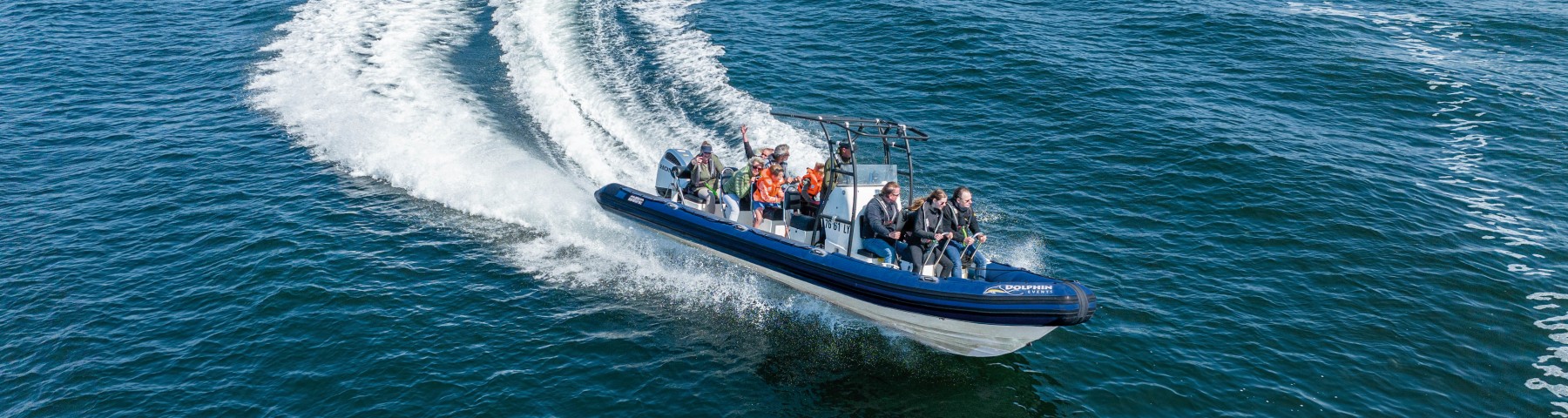 dolphin_rib_bewerkt.jpg