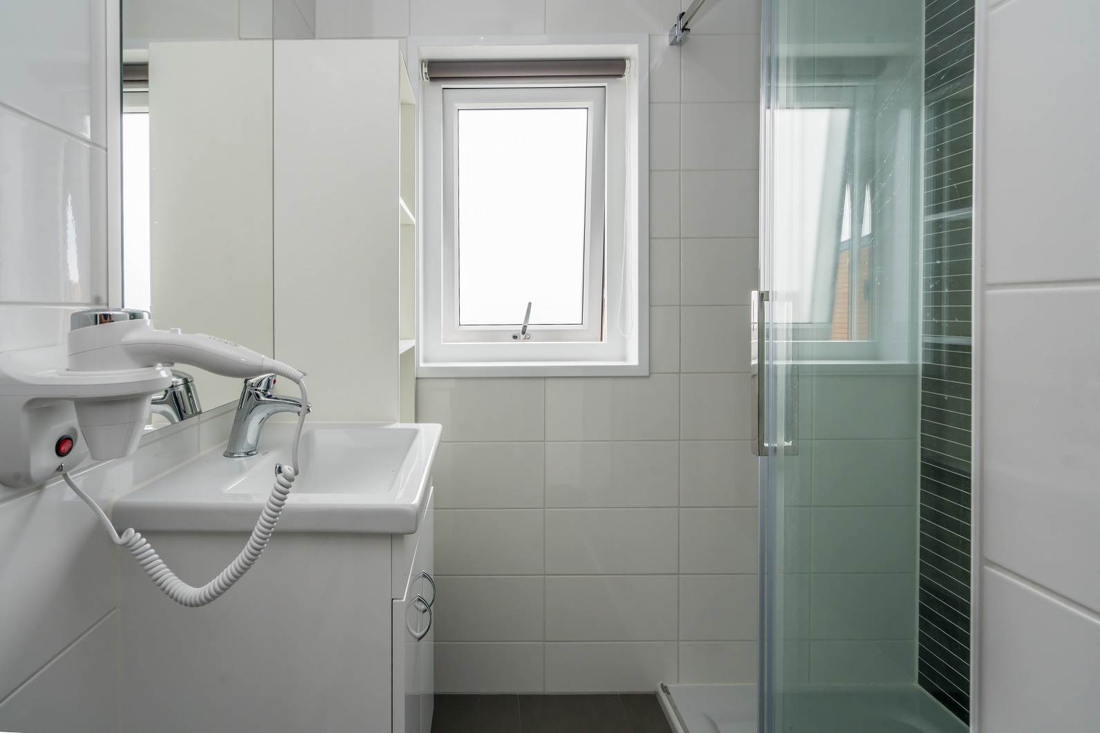 Zeehond badkamer verkleind.jpg