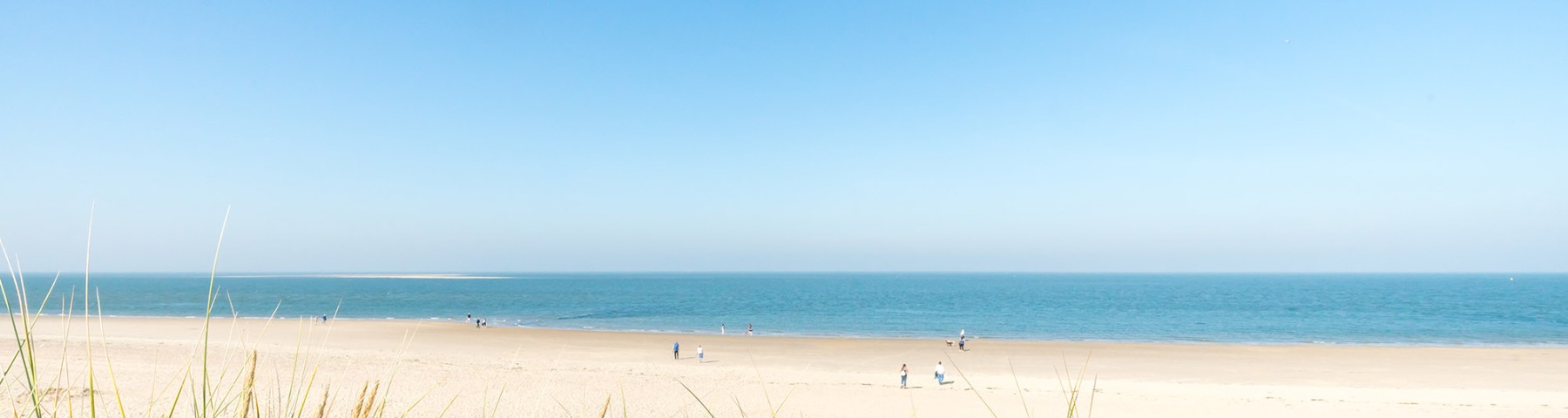 Strand 1.jpg