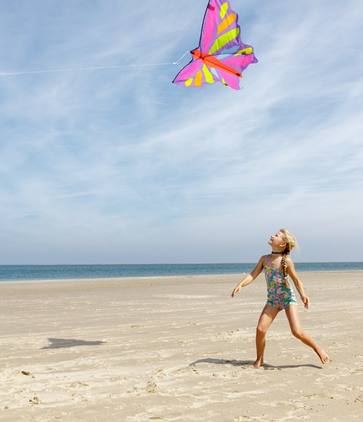 Vliegeren strand.jpg