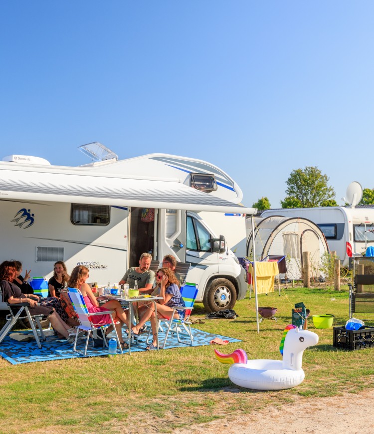 waterhoen nieuw (2).jpg