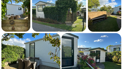 Fazant 422 voorzijde.png