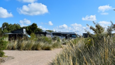 kamperen park zeemeeuw (1).jpg