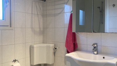 Park Zwaan 1219 Foto badkamer.jpg