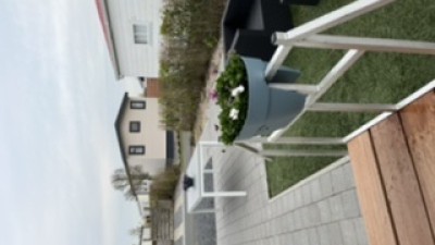 Park Stern 1904 Foto tuin.jpg