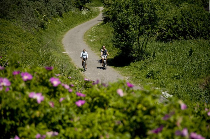 Fietsers ZH.jpg