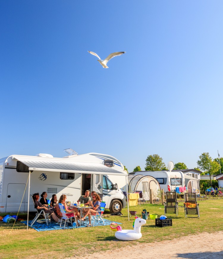 waterhoen nieuw (4).jpg