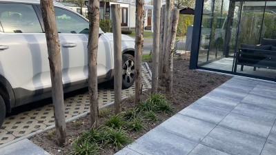 Park Valk 1585 Foto tuin.jpg