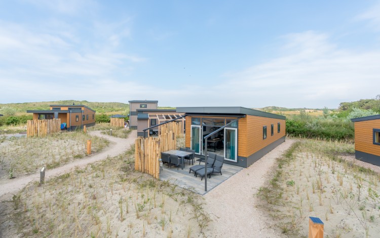 Zeemeeuw overzicht.jpg