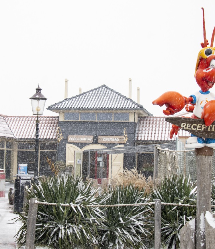 Receptie Julianahoeve in de sneeuw.jpg
